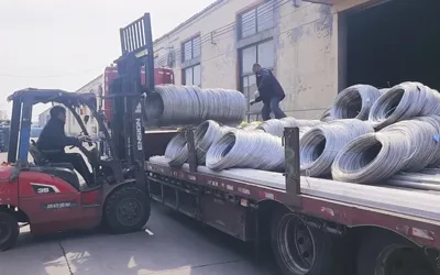 Cesta Bandeja de Cabo Vídeo