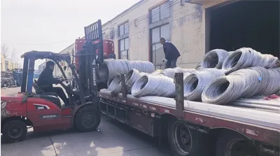 Cesta Bandeja de Cabo Vídeo